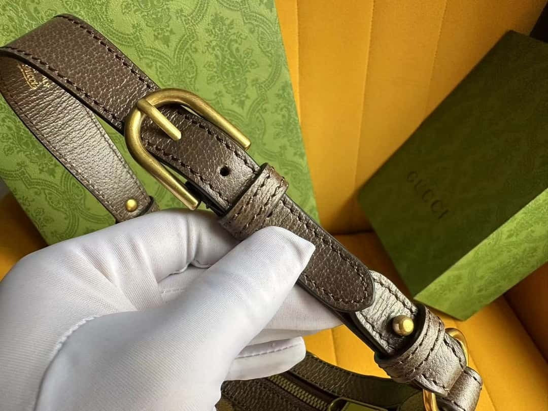 BG-731817 bag